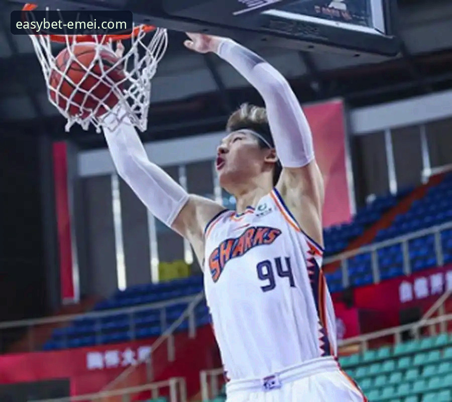 上海男篮十二连胜背后的战术体系与数据深度解析